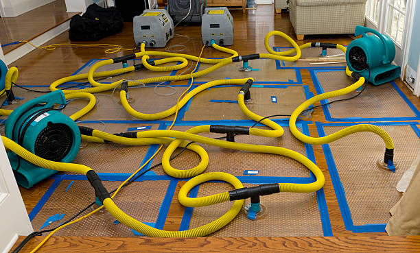 Professional Water Damage Repair technician working in Reliance, SD